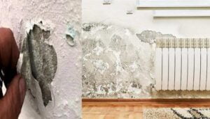 معاجة رطوبة الجدران,علاج رطوبة الجدران والحوائط,معالجة الرطوبة دهان عازل للرطوبة,دهان عازل للرطوبة,معالجة الرطوبة,علاج الرطوبة في الجدران,معالجة الرطوبة في المنزل,علاج تشققات الجدران,علاج رطوبة الجدران.أسباب الرطوبة في المنزل