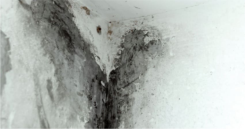 تسرب المياه داخل الجدران,جهاز كشف تسرب المياه في الجدران,جهاز كشف تسربات المياه داخل الجدران,جهاز كشف تسربات المياه في الجدران,تسربات المياه في الجدران,معالجة تسرب المياه من الجدران,معالجة تسرب المياه من الجدران بالمدينة المنورة